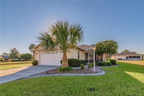 4482 N Webster Island Ter, Hernando, FL 34442 photo 30