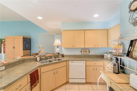4482 N Webster Island Ter, Hernando, FL 34442 photo 4