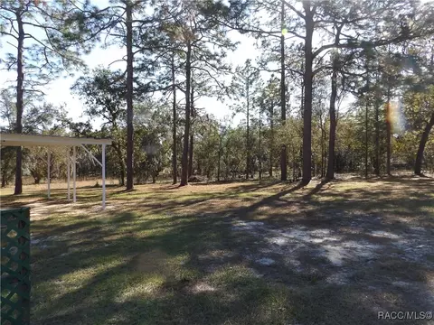 442 E Benjamin St, Hernando, FL 34442 photo 25