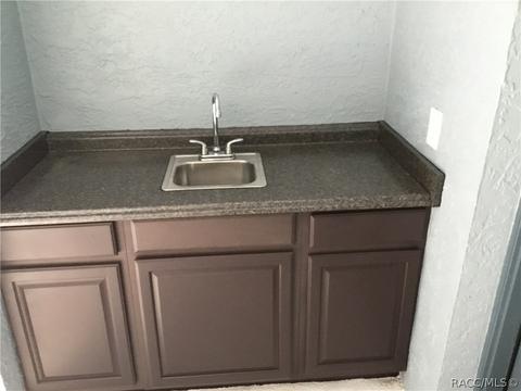 274 E Lancaster St, Lecanto, FL 34461 photo 37
