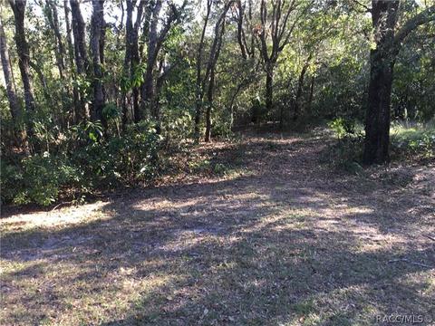 274 E Lancaster St, Lecanto, FL 34461 photo 45