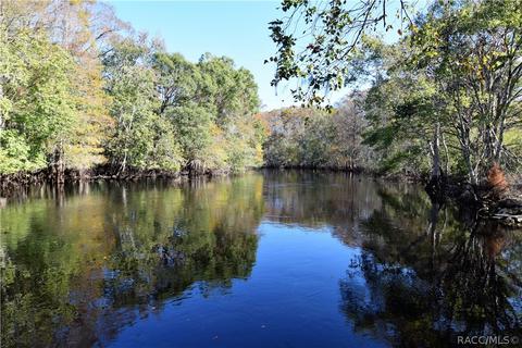 7549 N Curls Pt, Hernando, FL 34442 photo 43