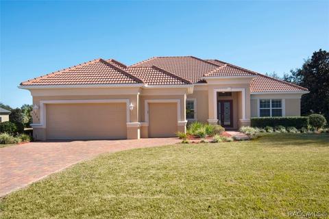 1363 N Skyhawk Pt, Hernando, FL 34442 photo 1
