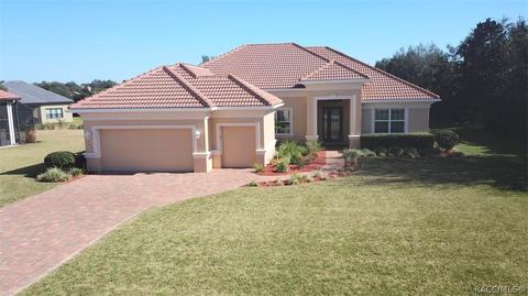 1363 N Skyhawk Pt, Hernando, FL 34442 photo 38