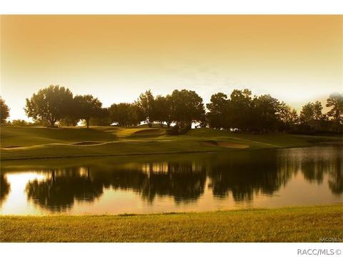 1363 N Skyhawk Pt, Hernando, FL 34442 photo 48