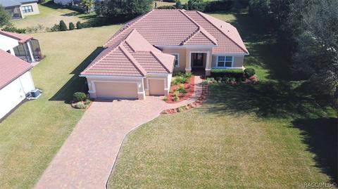 1363 N Skyhawk Pt, Hernando, FL 34442 photo 43