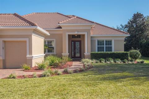 1363 N Skyhawk Pt, Hernando, FL 34442 photo 40