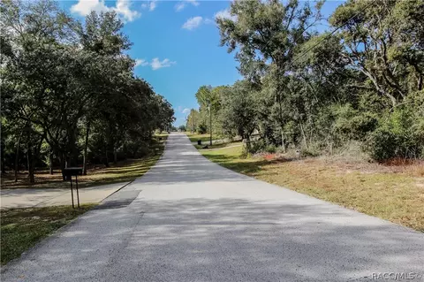 1072 E Bismark St, Hernando, FL 34442 photo 29