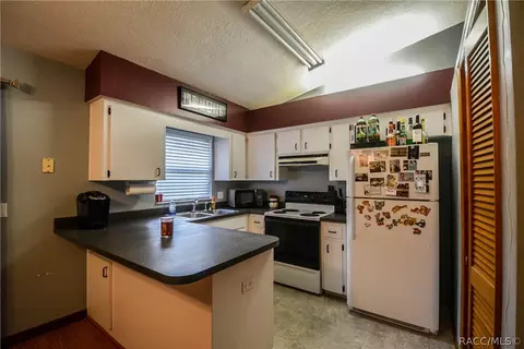 1072 E Bismark St, Hernando, FL 34442 photo 3