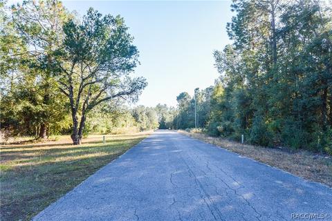 8660 N Catapane Loop, Crystal River, FL 34428 photo 25