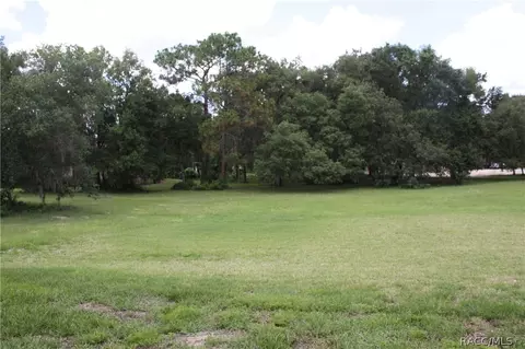 387 W Cobblestone Loop, Hernando, FL 34442 photo 13