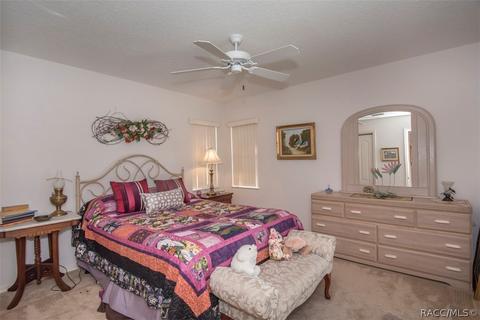 726 E Dakota Ct, Hernando, FL 34442 photo 34