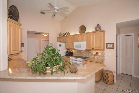 726 E Dakota Ct, Hernando, FL 34442 photo 32