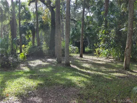 7134 N Spring Run Ter Ter, Hernando, FL 34442 photo 25