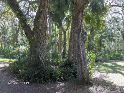 7134 N Spring Run Ter Ter, Hernando, FL 34442 photo 32