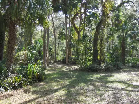 7134 N Spring Run Ter Ter, Hernando, FL 34442 photo 27