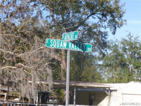 3580 E Squaw Valley Dr, Hernando, FL 34442 photo 48