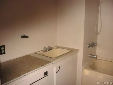 6895 N Charles Ter, Hernando, FL 34442 photo 6