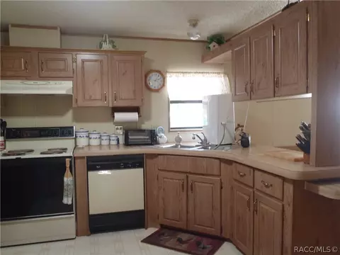 4220 E Lake Park Dr, Hernando, FL 34442 photo 7