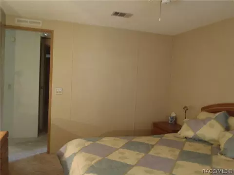 4220 E Lake Park Dr, Hernando, FL 34442 photo 19