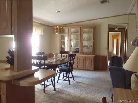 4220 E Lake Park Dr, Hernando, FL 34442 photo 9