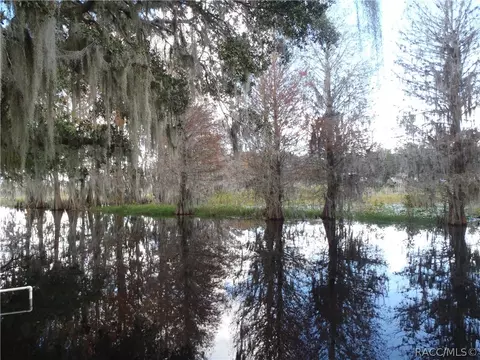 4220 E Lake Park Dr, Hernando, FL 34442 photo 34