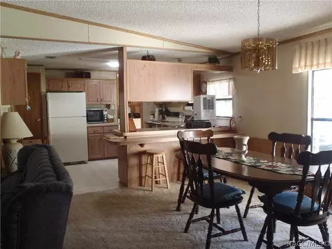 4220 E Lake Park Dr, Hernando, FL 34442 photo 8