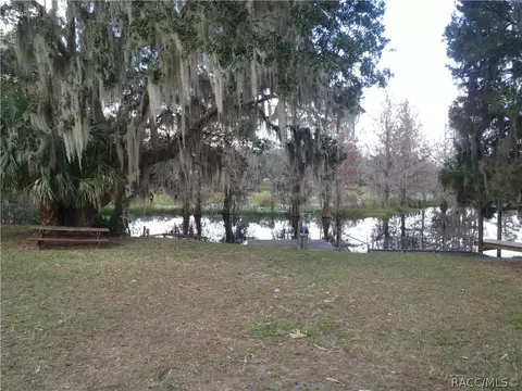 4220 E Lake Park Dr, Hernando, FL 34442 photo 33