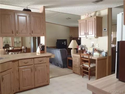 4220 E Lake Park Dr, Hernando, FL 34442 photo 5