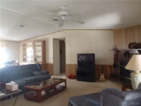 4220 E Lake Park Dr, Hernando, FL 34442 photo 11