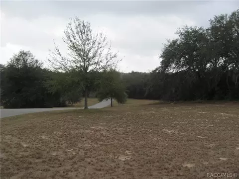 3108 N Clements Ave, Hernando, FL 34442 photo 3