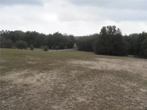 3108 N Clements Ave, Hernando, FL 34442 photo 14