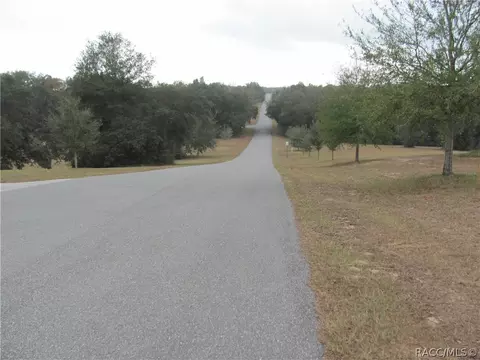 3108 N Clements Ave, Hernando, FL 34442 photo 5