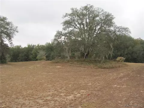 3108 N Clements Ave, Hernando, FL 34442 photo 1