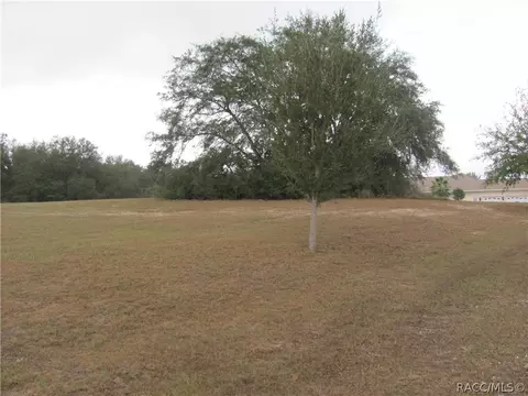 3108 N Clements Ave, Hernando, FL 34442 photo 19
