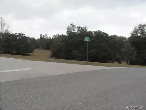 3108 N Clements Ave, Hernando, FL 34442 photo 6