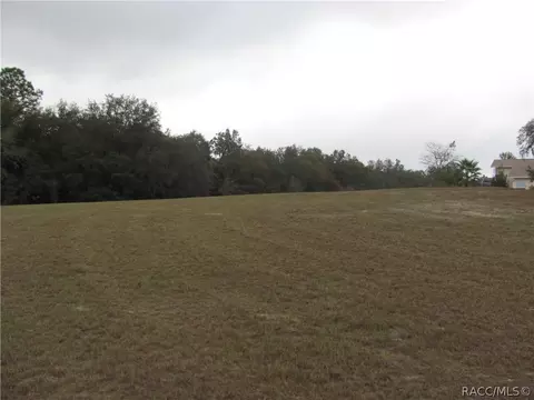 3108 N Clements Ave, Hernando, FL 34442 photo 17