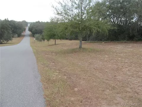3108 N Clements Ave, Hernando, FL 34442 photo 4