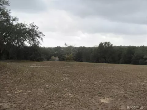 3108 N Clements Ave, Hernando, FL 34442 photo 10