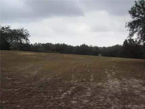 3108 N Clements Ave, Hernando, FL 34442 photo 12