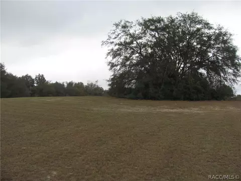 3108 N Clements Ave, Hernando, FL 34442 photo 18