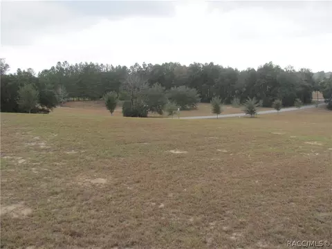 3108 N Clements Ave, Hernando, FL 34442 photo 16