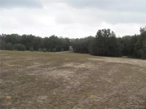 3108 N Clements Ave, Hernando, FL 34442 photo 13