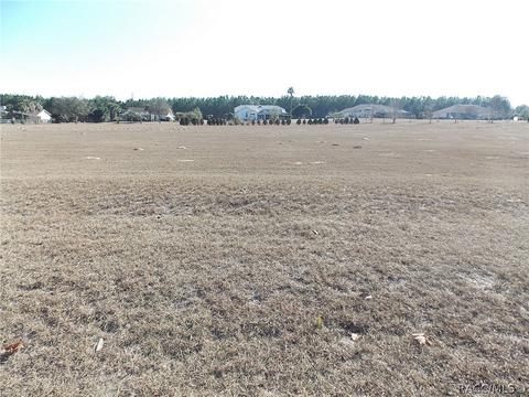 654 E Bismark St, Hernando, FL 34442 photo 1