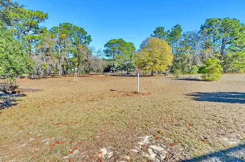 1171 E Triple Crown Loop, Hernando, FL 34442 photo 44