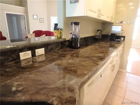 51 E 111 E Joshua Ct, Hernando, FL 34442 photo 16