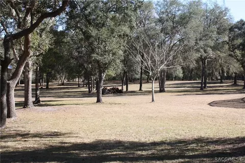 51 E 111 E Joshua Ct, Hernando, FL 34442 photo 33