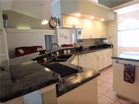 51 E 111 E Joshua Ct, Hernando, FL 34442 photo 14
