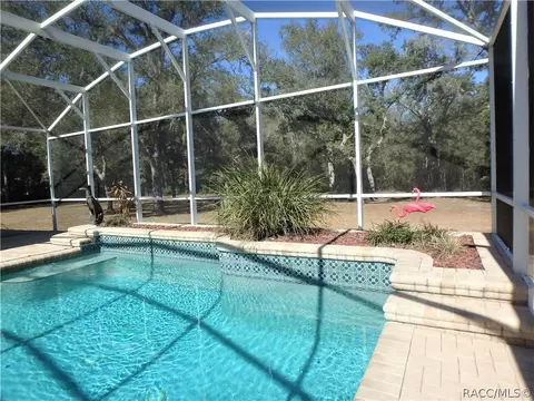 51 E 111 E Joshua Ct, Hernando, FL 34442 photo 3