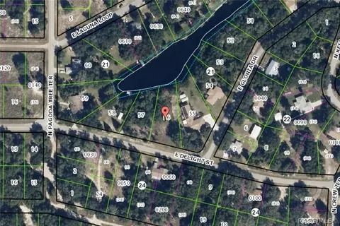 3891 E Delight St, Hernando, FL 34442 photo 1